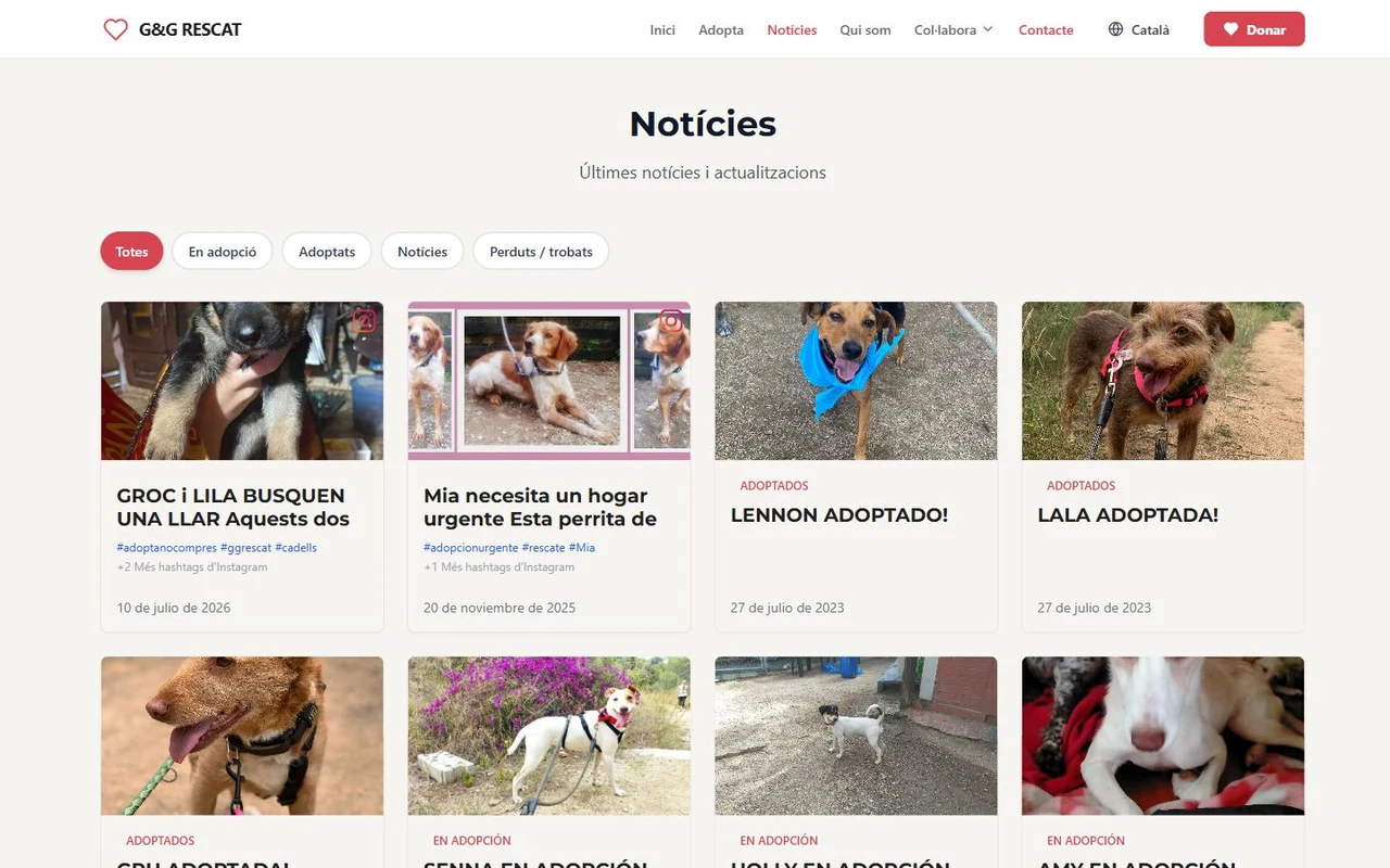 La web de G&G Rescat en escritorio y en móvil: noticias y fichas de animales en adopción